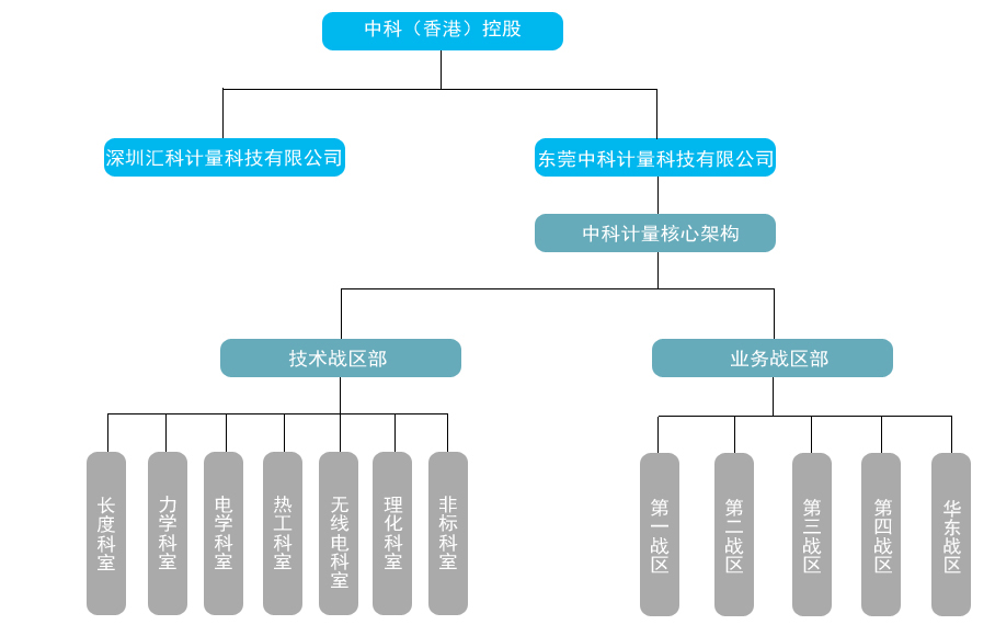 中科計(jì)量公司組織架構(gòu) 中科計(jì)量公司組織架構(gòu)